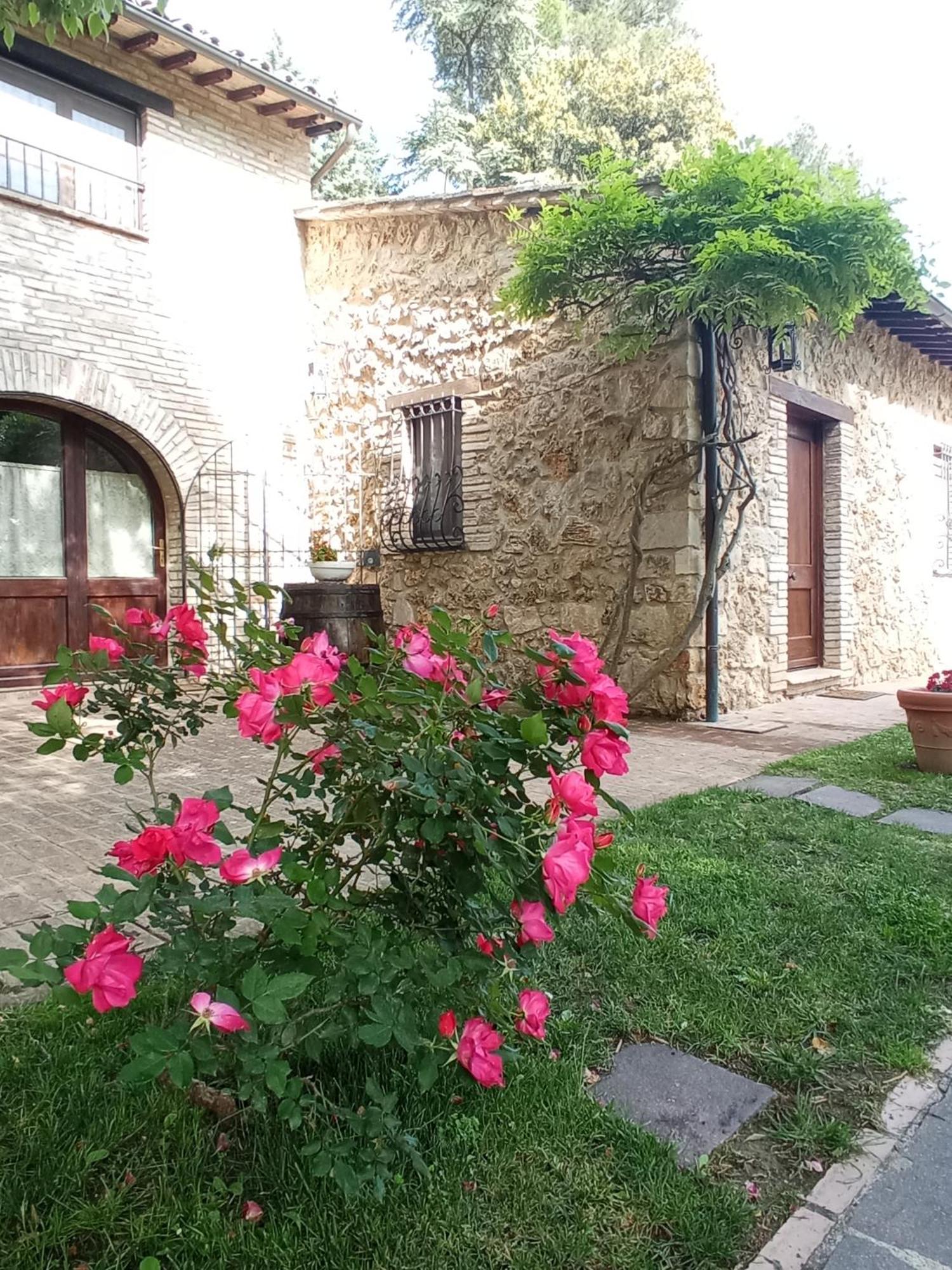 All'Ombra Di San Damiano Assisi Exterior photo