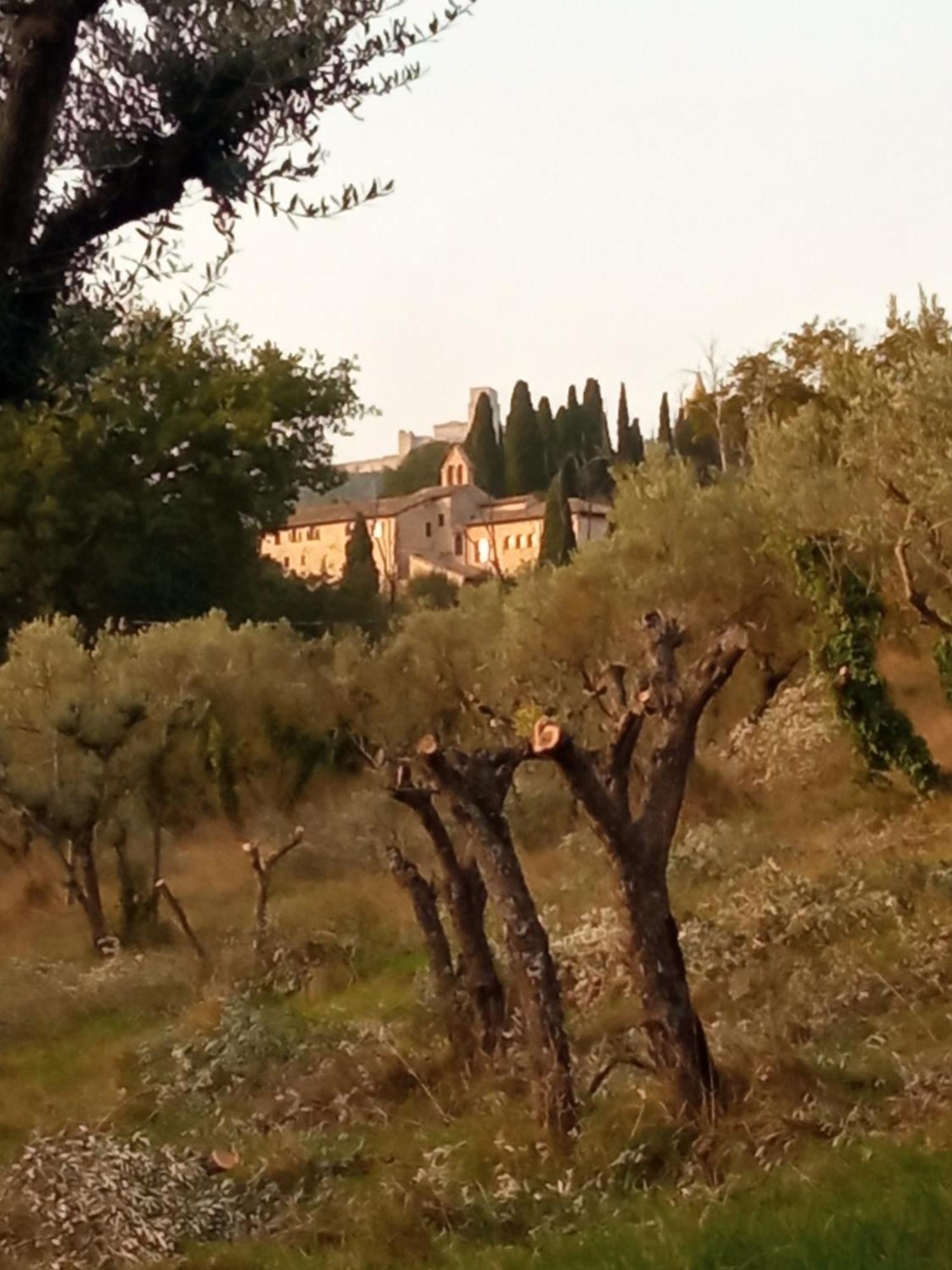 All'Ombra Di San Damiano Assisi Exterior photo